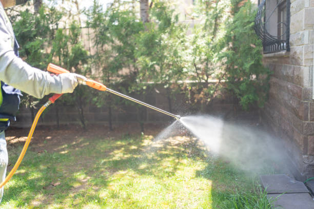 Best Commercial Pest Control  in Marquette, MI